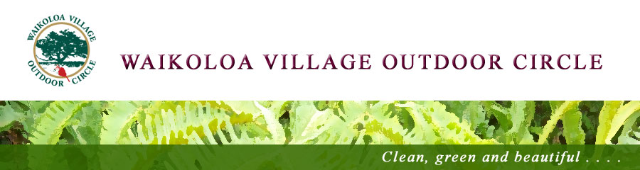 Waikoloa Village Outdoor Circle
